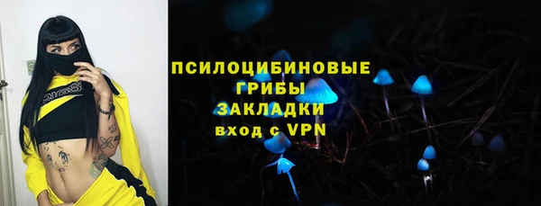 прущая мука Нея