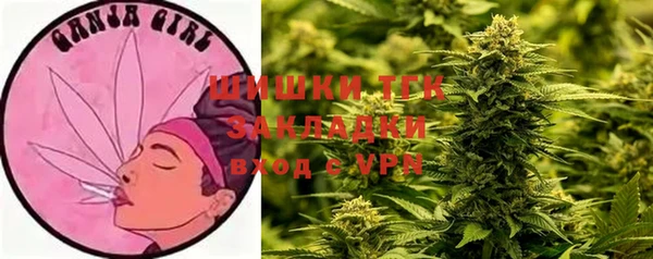 индика Нефтегорск