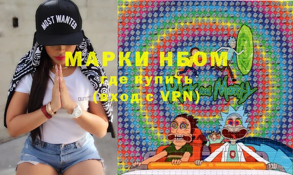 индика Нефтегорск