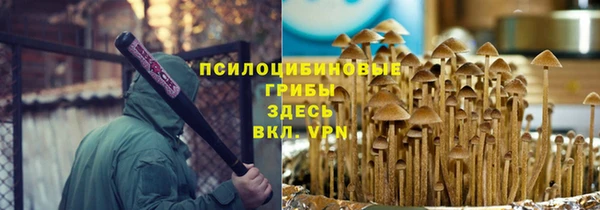 индика Нефтегорск